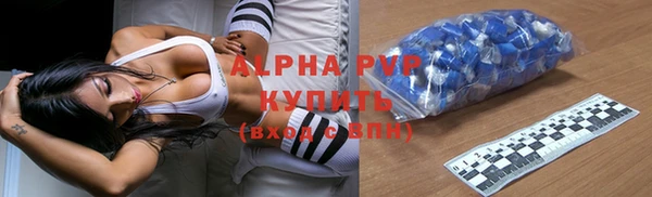 прущие грибы Армянск