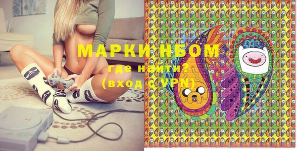 прущие грибы Армянск