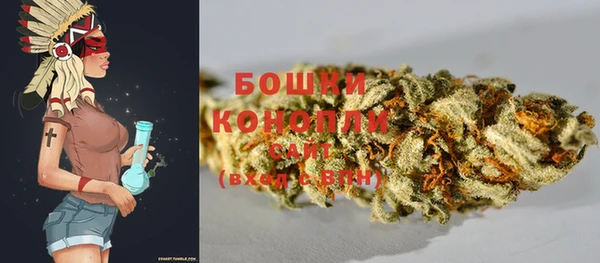 прущие грибы Армянск