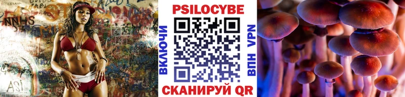 Галлюциногенные грибы мицелий это наркотические препараты Белинский